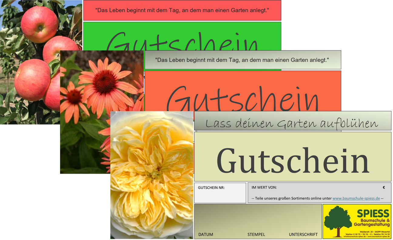 Gutscheine