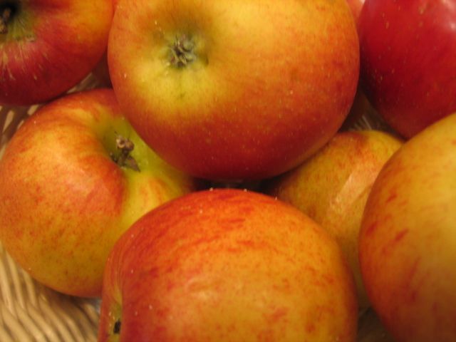 Malus 'Rosana'                                CAC Apfel 'Rosana'