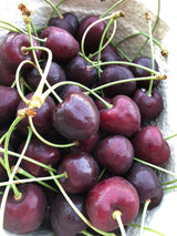 Prunus av.'Kamala' -S-                  CAC Süßkirsche 'Kamala' -S-