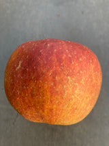 Malus 'Jonagold'                       CAC Apfel 'Jonagold'                    mittel