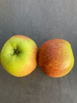 Malus 'Braeburn'                       CAC Apfel 'Braeburn'                    mittel