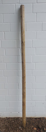 Anpflanzpaket Standard