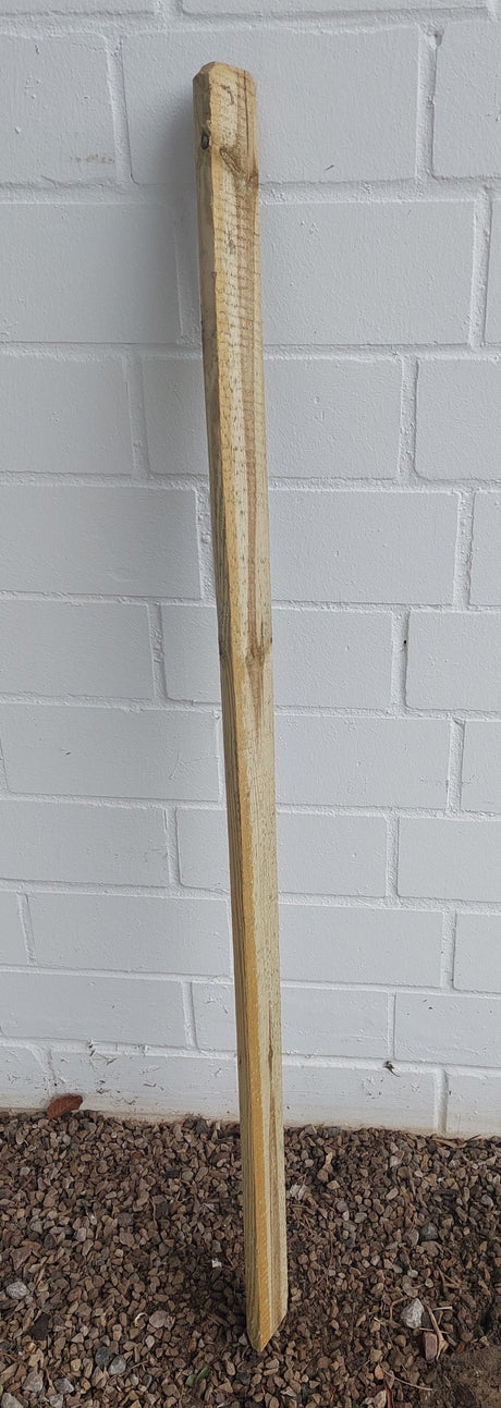 Anpflanzpaket Premium